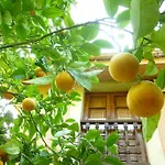 Rural La Balconada Ов'єдо