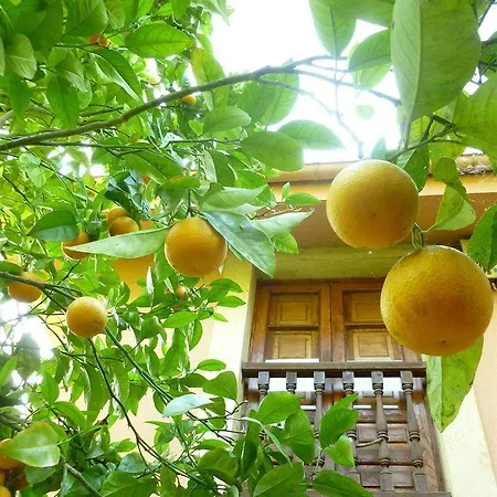 Rural La Balconada Ов'єдо