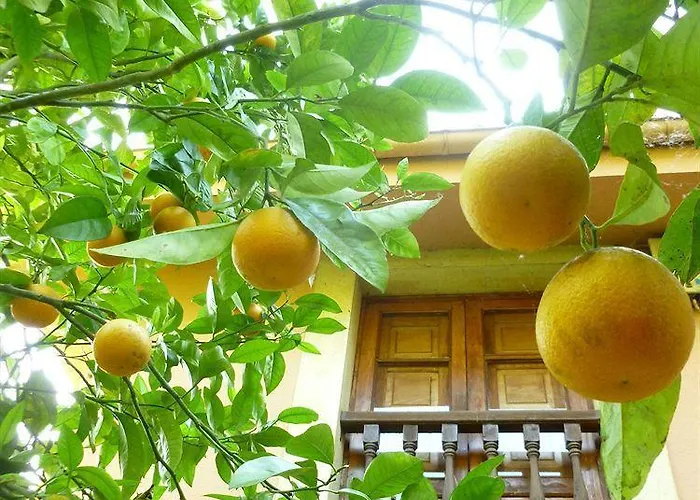Rural La Balconada Oviedo